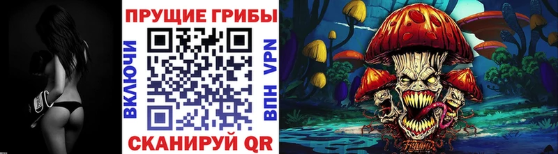 mega сайт  цена наркотик  Курчатов  Псилоцибиновые грибы мухоморы 